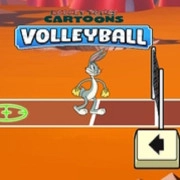 Looney Tunes Cartoons Volleyball
